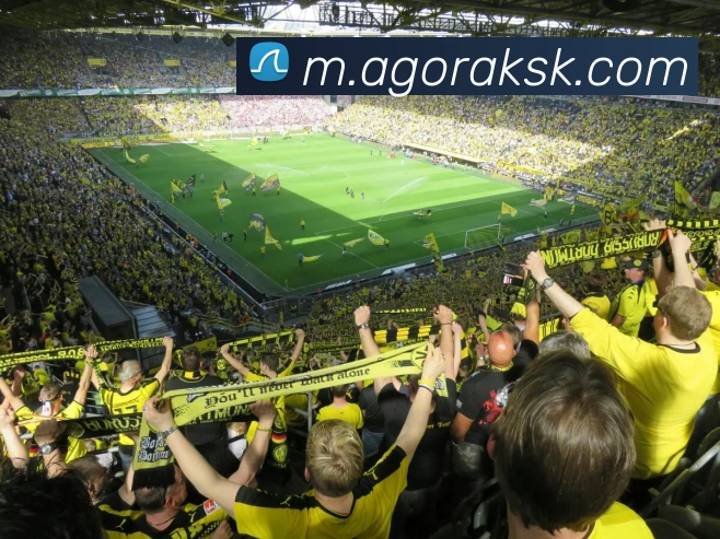 多媒体互动体验