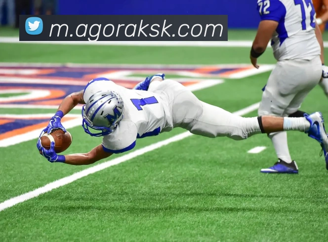 ag百家乐APP 体育赛事宣传图